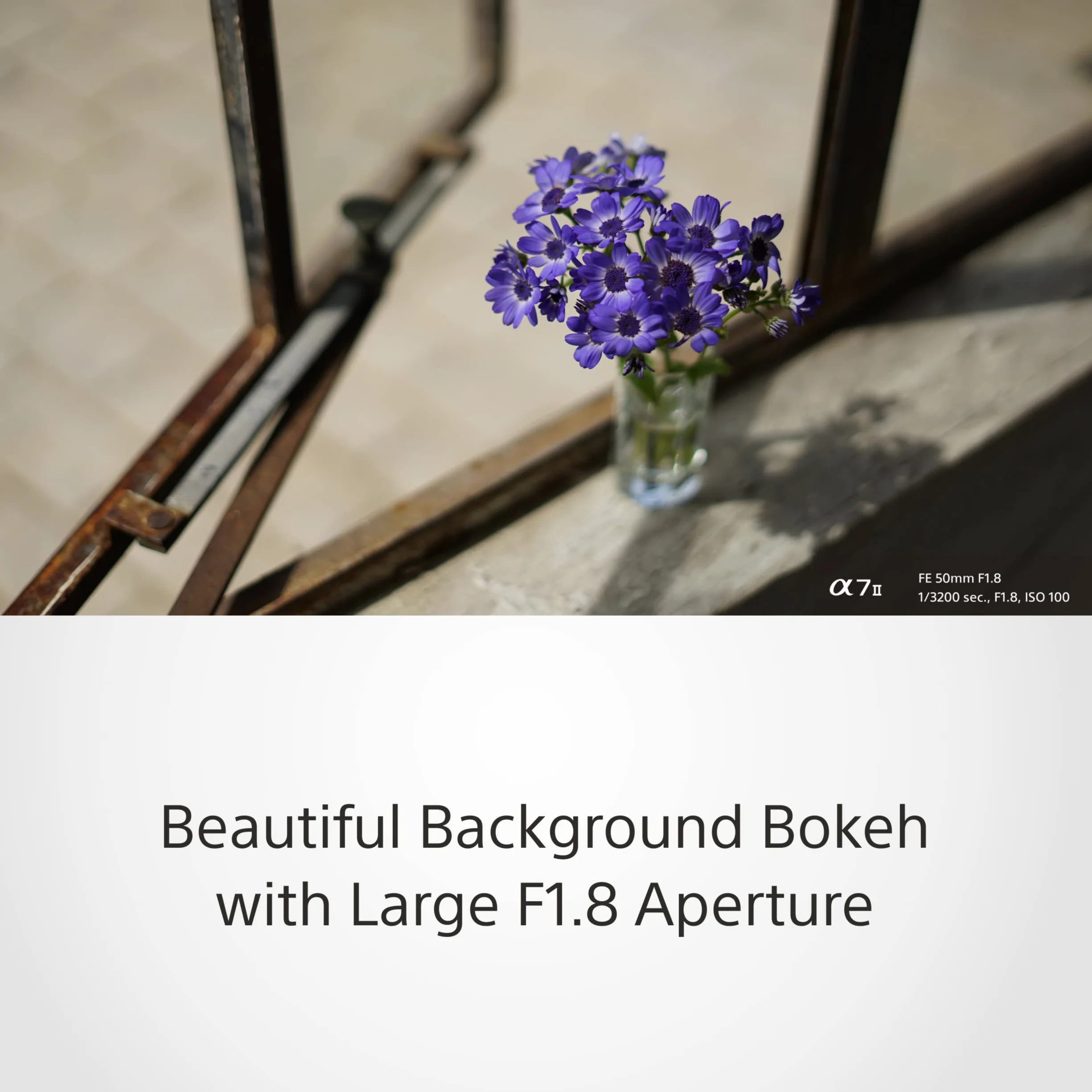 Sony SEL50F18F 50mm f/1.8 Obiettivo Standard Full Frame E-Mount Bokeh