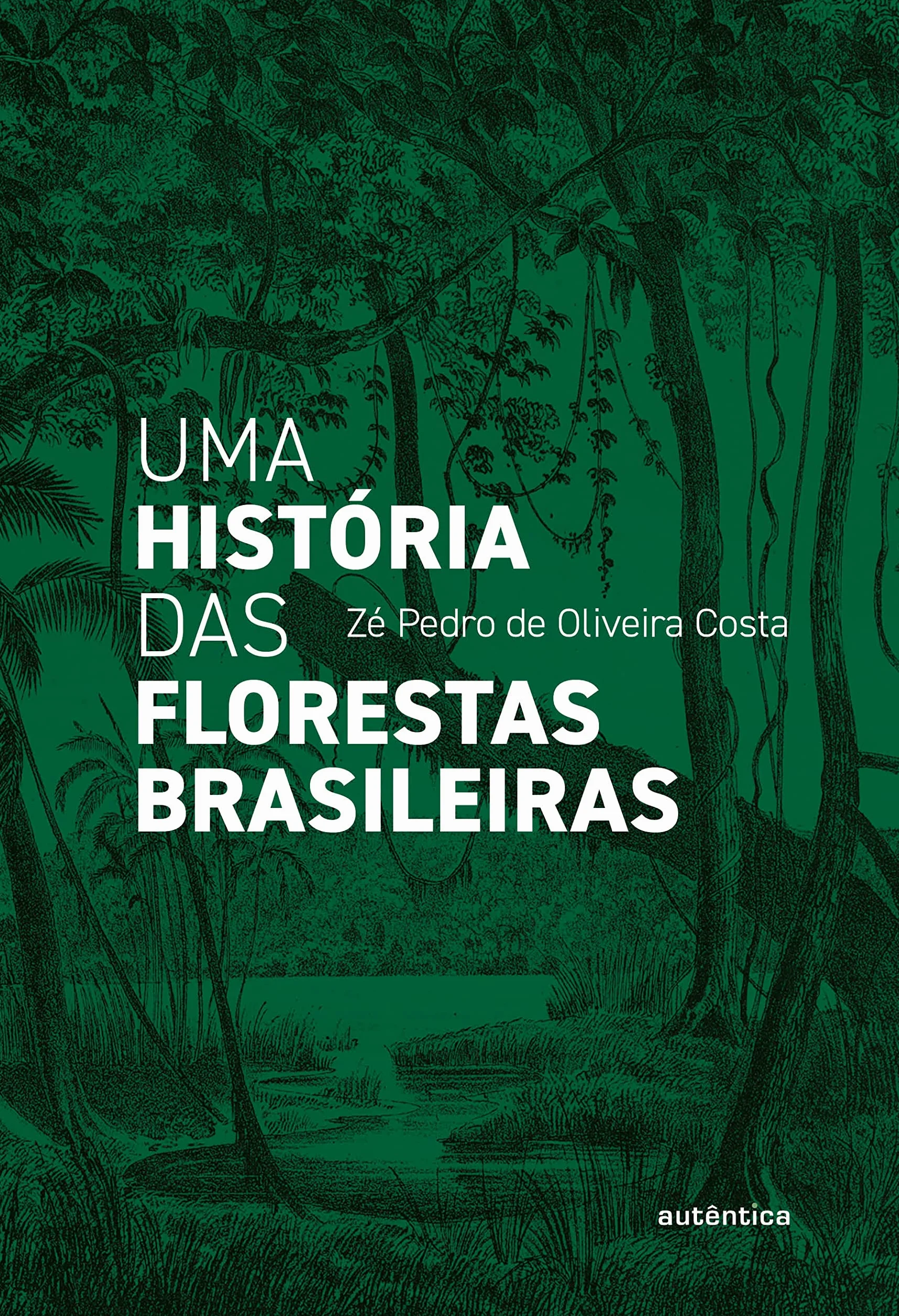 História das florestas brasileiras