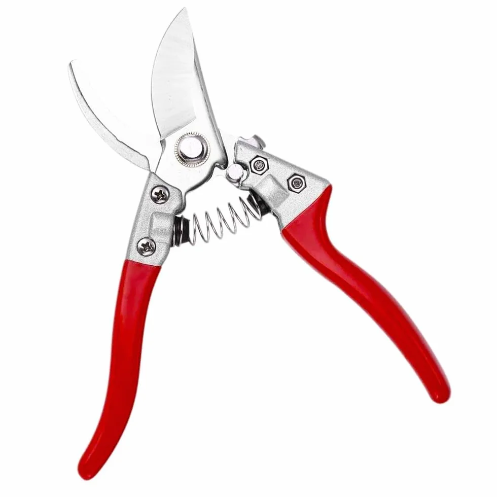 Forbici da Giardino Professionali, Cesoie da Potatura Giardinaggio 18cm