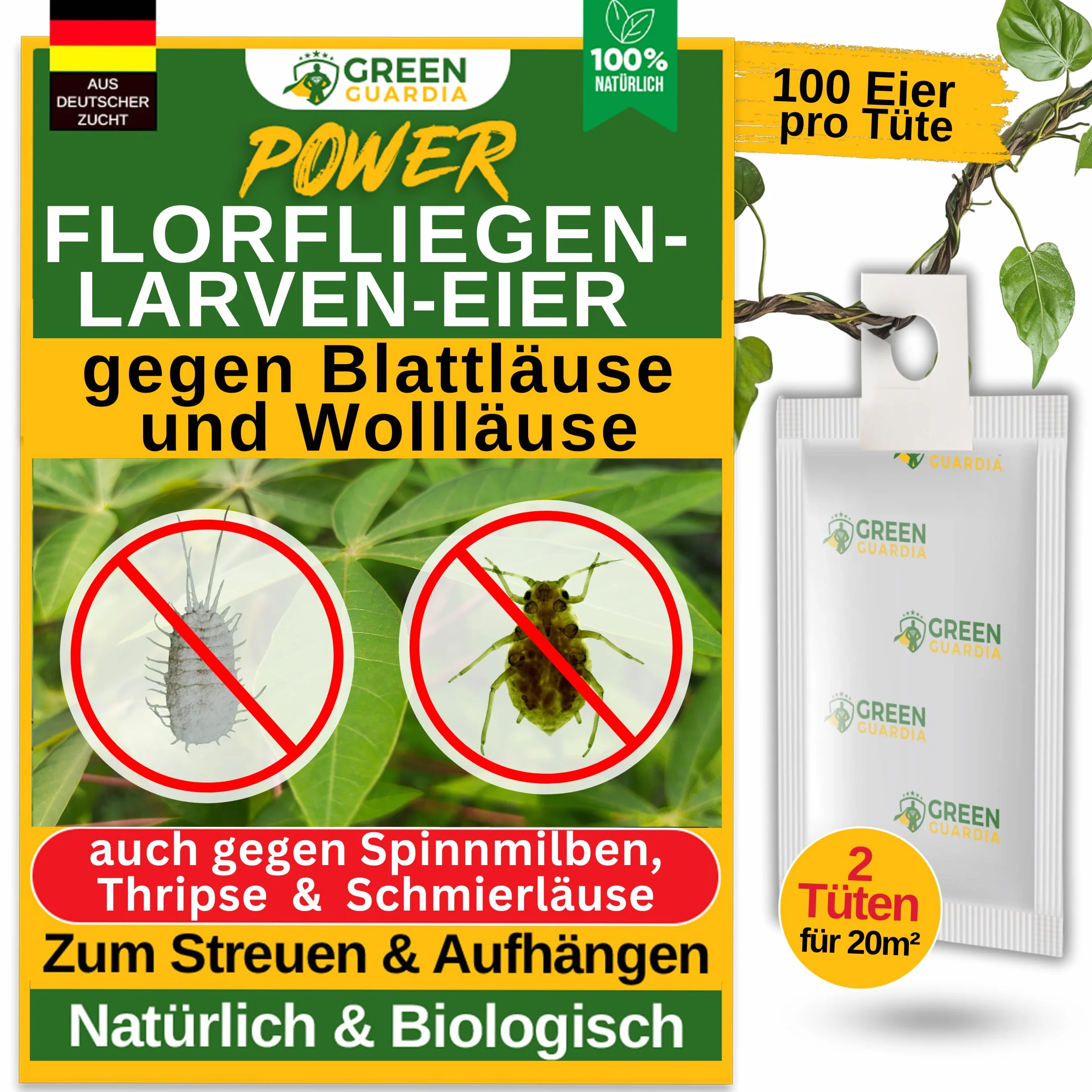 GREEN GUARDIA Power – Uova contro afidi e pidocchi – 2 sacchetti – Agente biologico per efficace lotta contro afidi e pidocchi di lana per piante d'appartamento e ornamentali UVM.