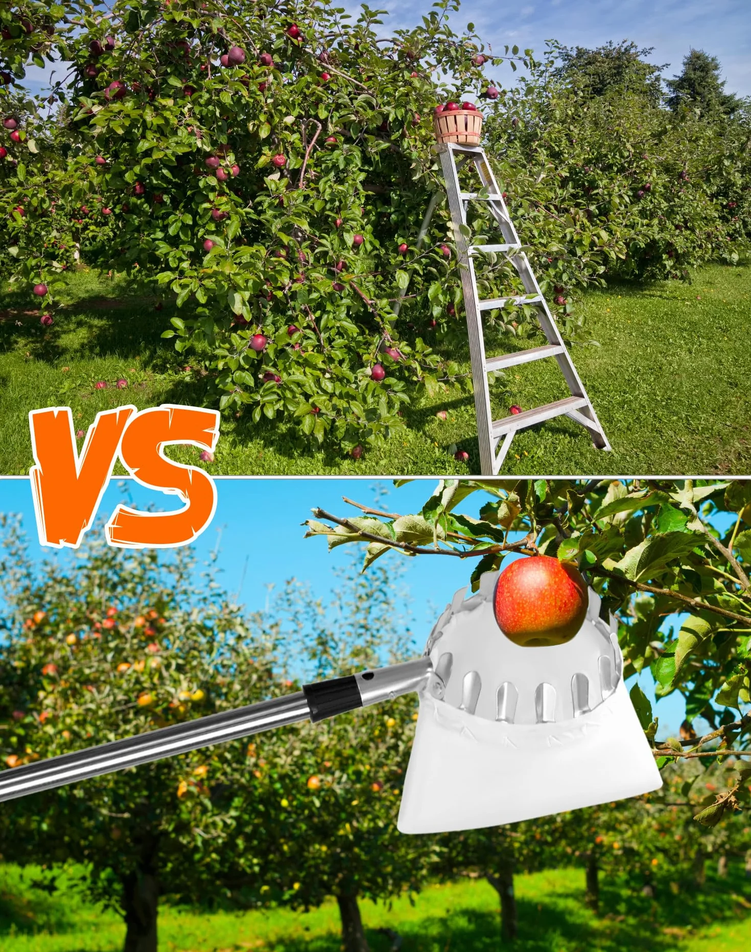 QWORK® Raccoglitrice di Frutta 4M con Manico telescopico, Acciaio Inossidabile, Strumento raccoglifrutta
