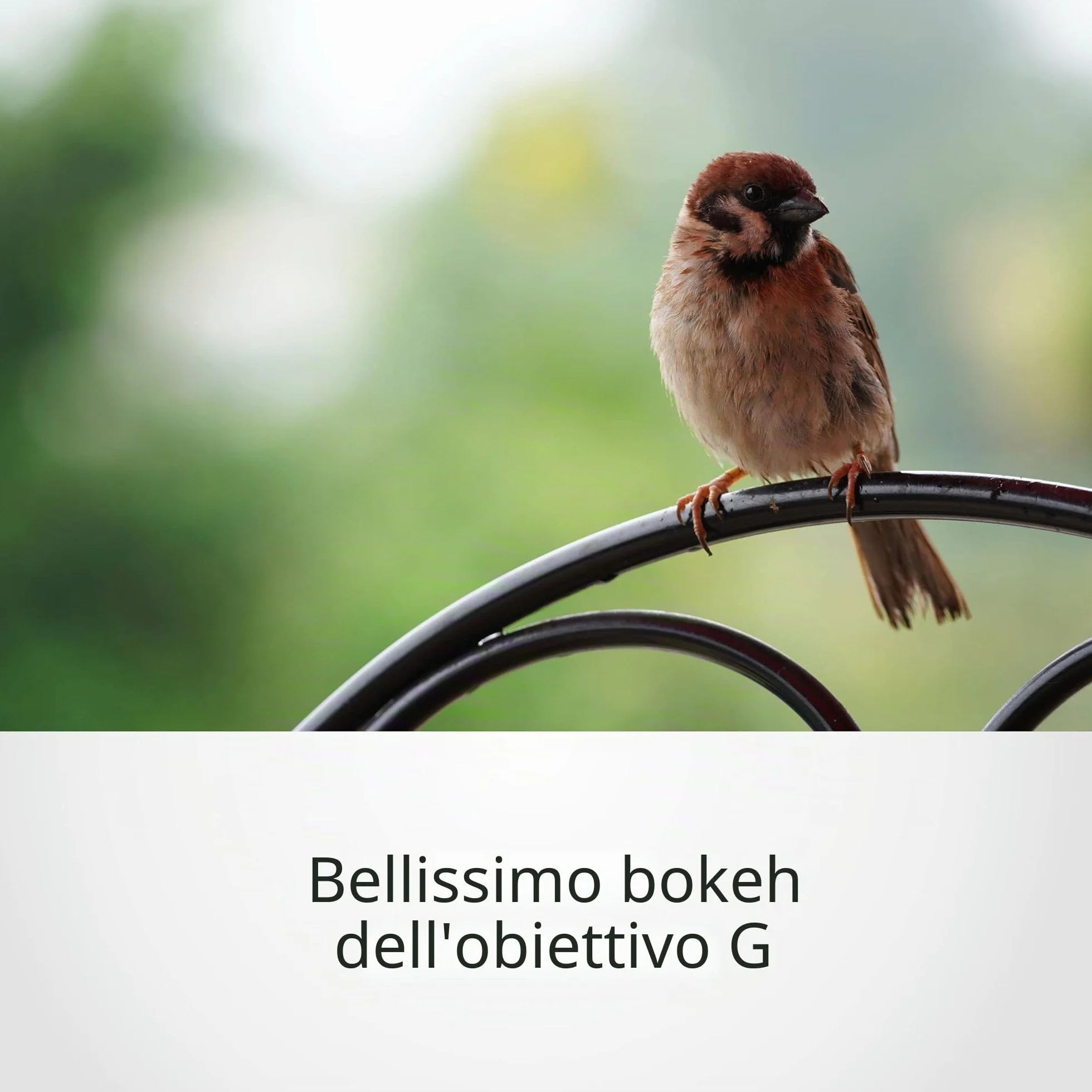 Sony SEL70350G 70-350 mm F4.5-6.3 G OSS Super teleobiettivo zoom per APS-C con stabilizzazione immagine, attacco E-Mount