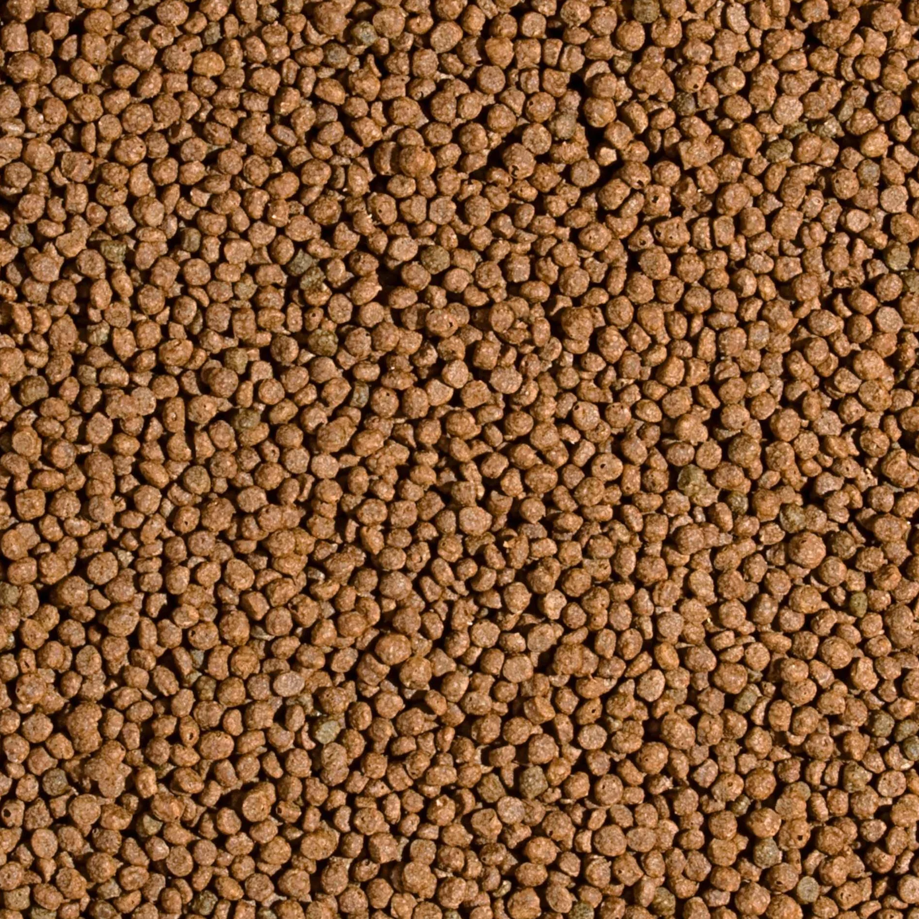 KOI PROBIOTIC SIZE S 1000ml / 320g - mangime per piccoli pesci da laghetto, mangime giornaliero per carpe koi per un ampio intervallo di temperatura dell'acqua da 8 a 30°C