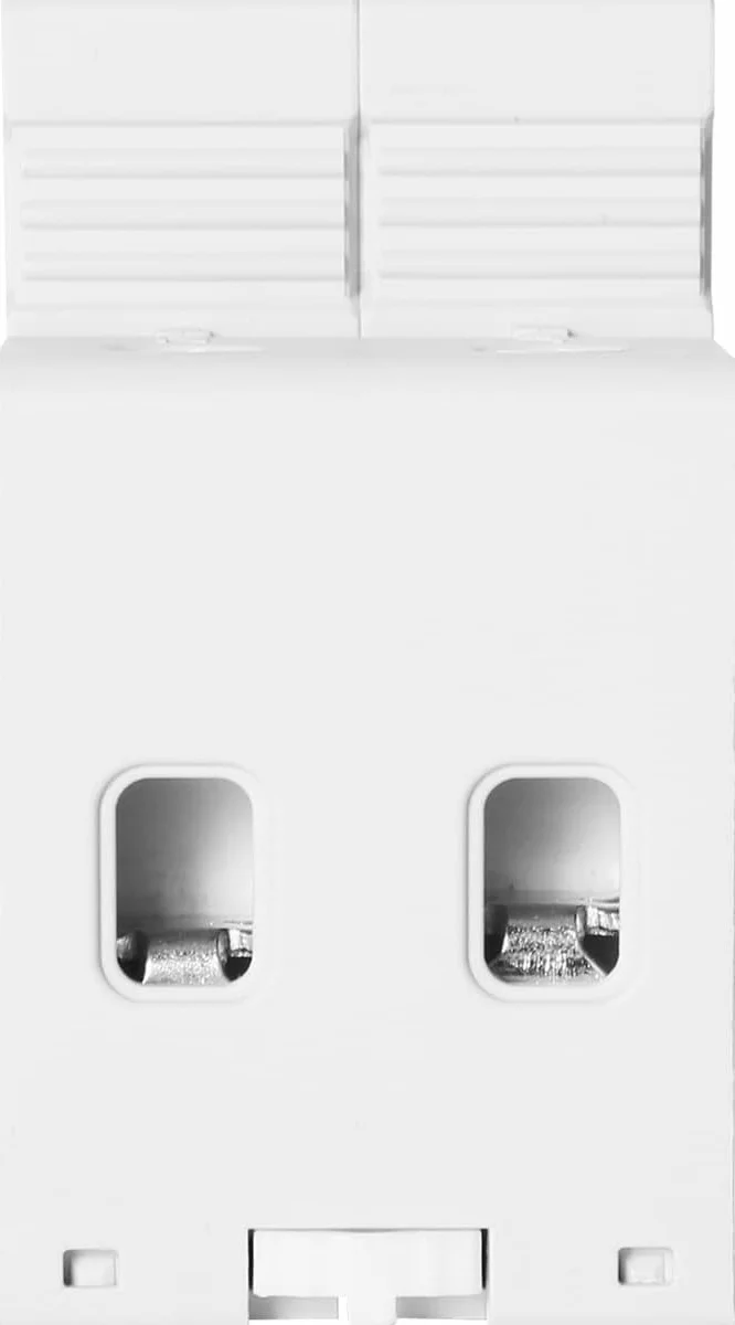 DEWIN Scaricatore di Sovratensione 220V 2P 40kA AC 420V Dispositivo di Protezione Contro le Sovratensioni