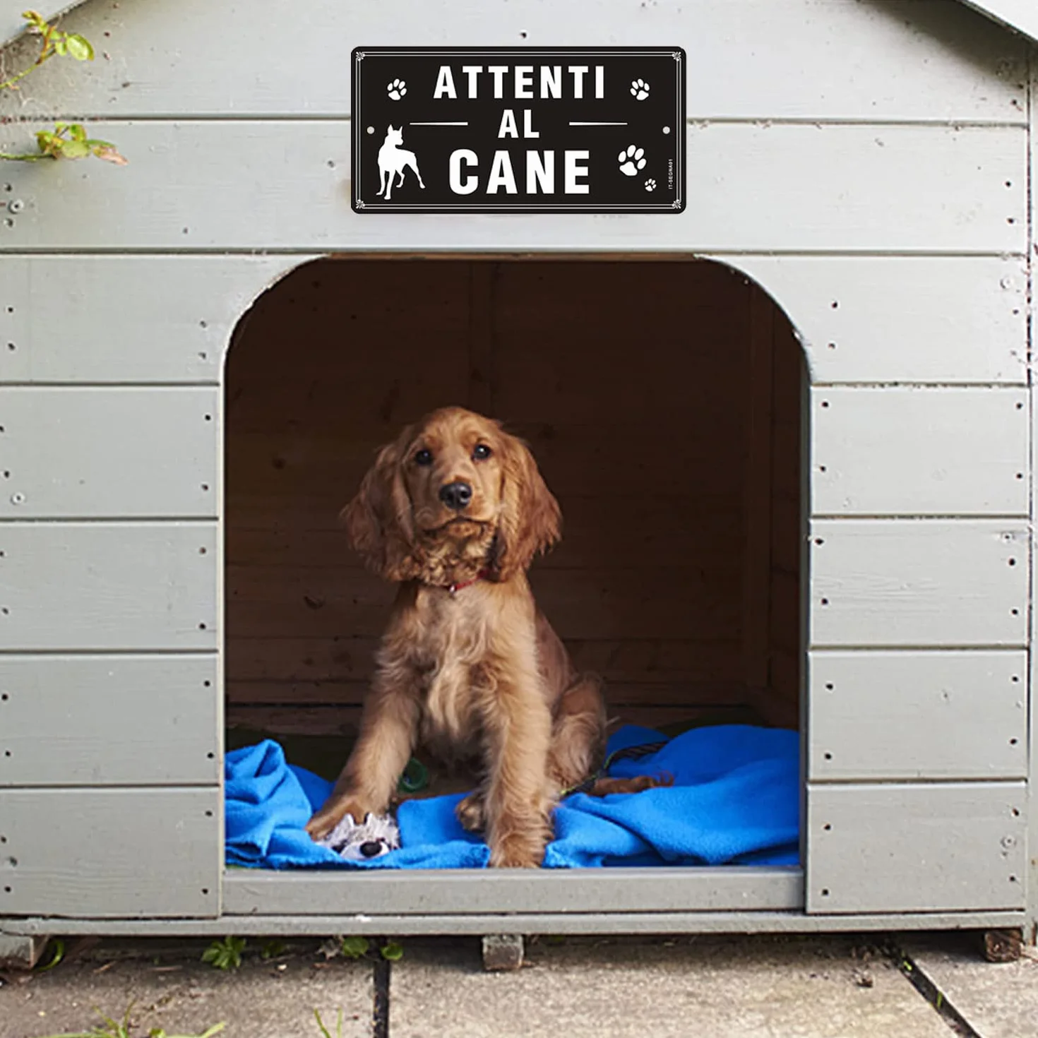 Cartello Attenti al Cane Metallo Riflettente 30×15cm - Attenti al Cane Alluminio Simpatico 2 Pezzi