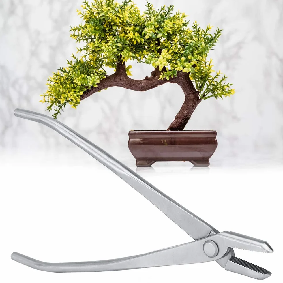 Delaman Garden Care Taglierina a Pomello in Acciaio Inossidabile Strumenti per Modellare Bonsai Strumenti per Bonsai Kit di Filo Strumento per la Cura 'albero Pinze per Rami di