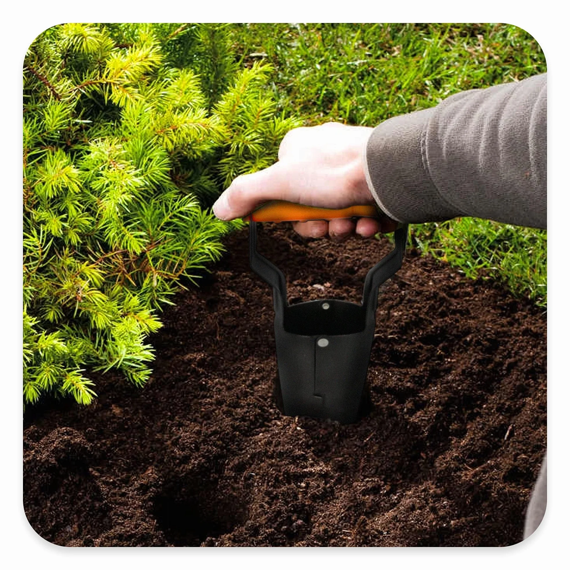 BRADAS® - Piantana per bulbi di fiori DE LUXE, Ø 6 cm-9 cm, automatica per piante a cipolla in acciaio con meccanismo automatico e scala di profondità, manico automatico, attrezzi da giardino