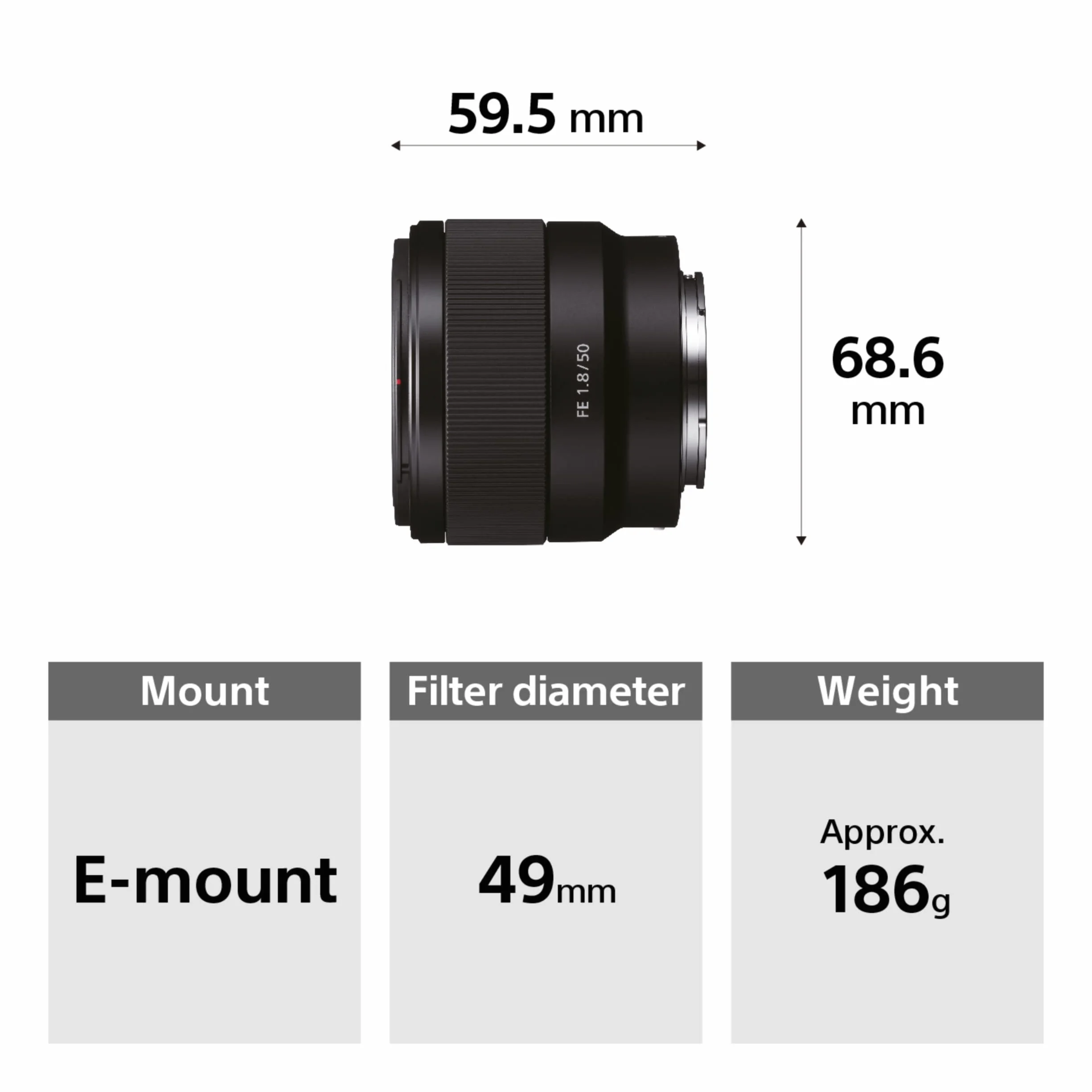 Sony SEL50F18F 50mm f/1.8 Obiettivo Standard Full Frame E-Mount Bokeh