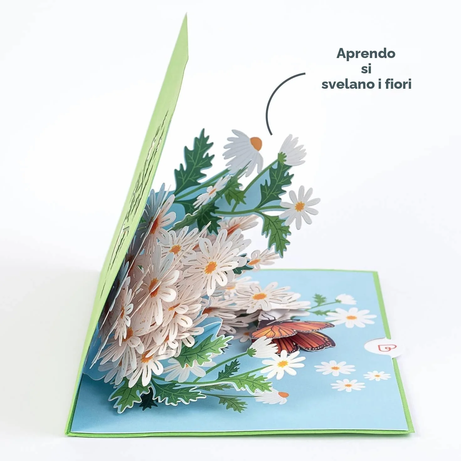 papercrush® Biglietto pop up 3D margherite - Biglietto auguri compleanno donna, battesimo, comunione