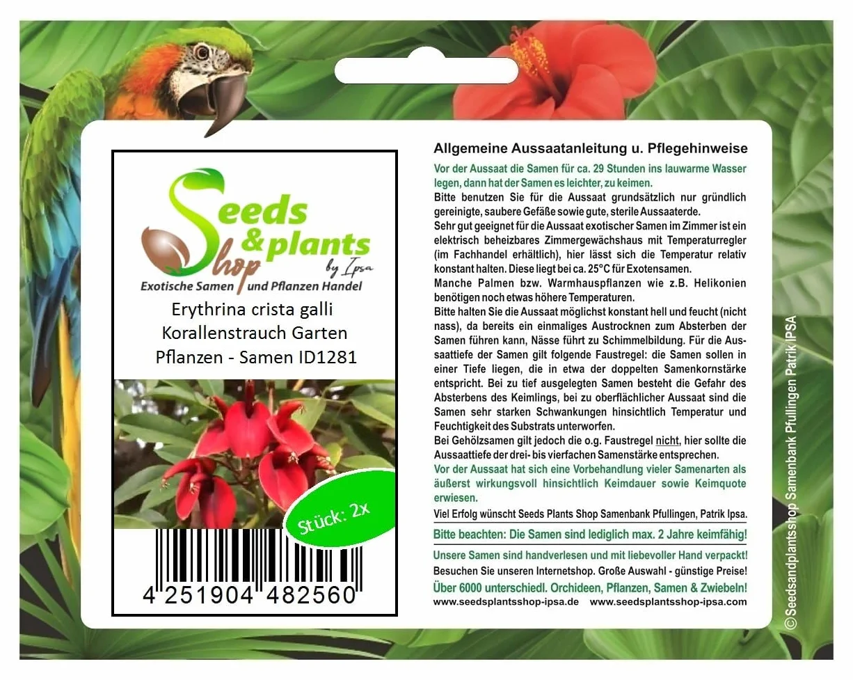 Pezzi - 2x Erythrina Crista Galli Korallenstrauch Giardino Piante - Seme ID1281 - Seeds & Plants Shop by Ipsa