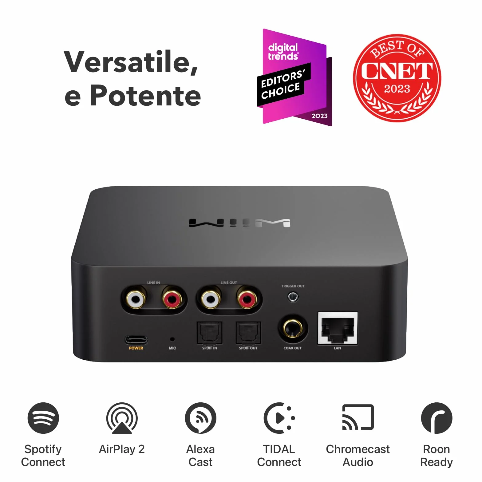 WiiM Pro AirPlay 2 Ricevitore Bluetooth WiFi Multiroom Streamer Audio Hi-Res