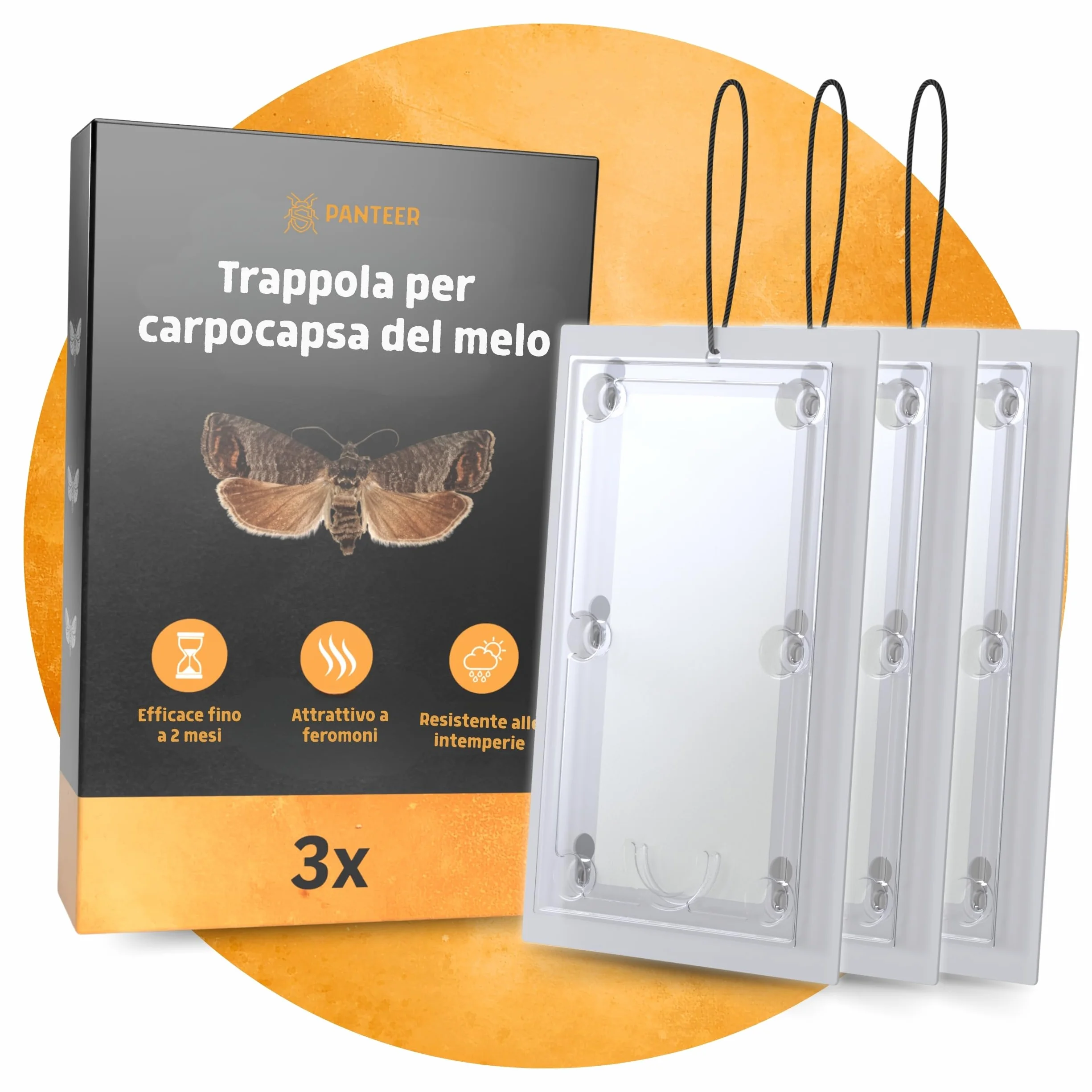 Panteer Trappola per carpocapsa – 3 Pezzi – con Cavo – Trappole a feromoni per melo e Pero – Monitoraggio Cydia pomonella – Fino a 8 Settimane – Senza Chimica – per Alberi da frutto