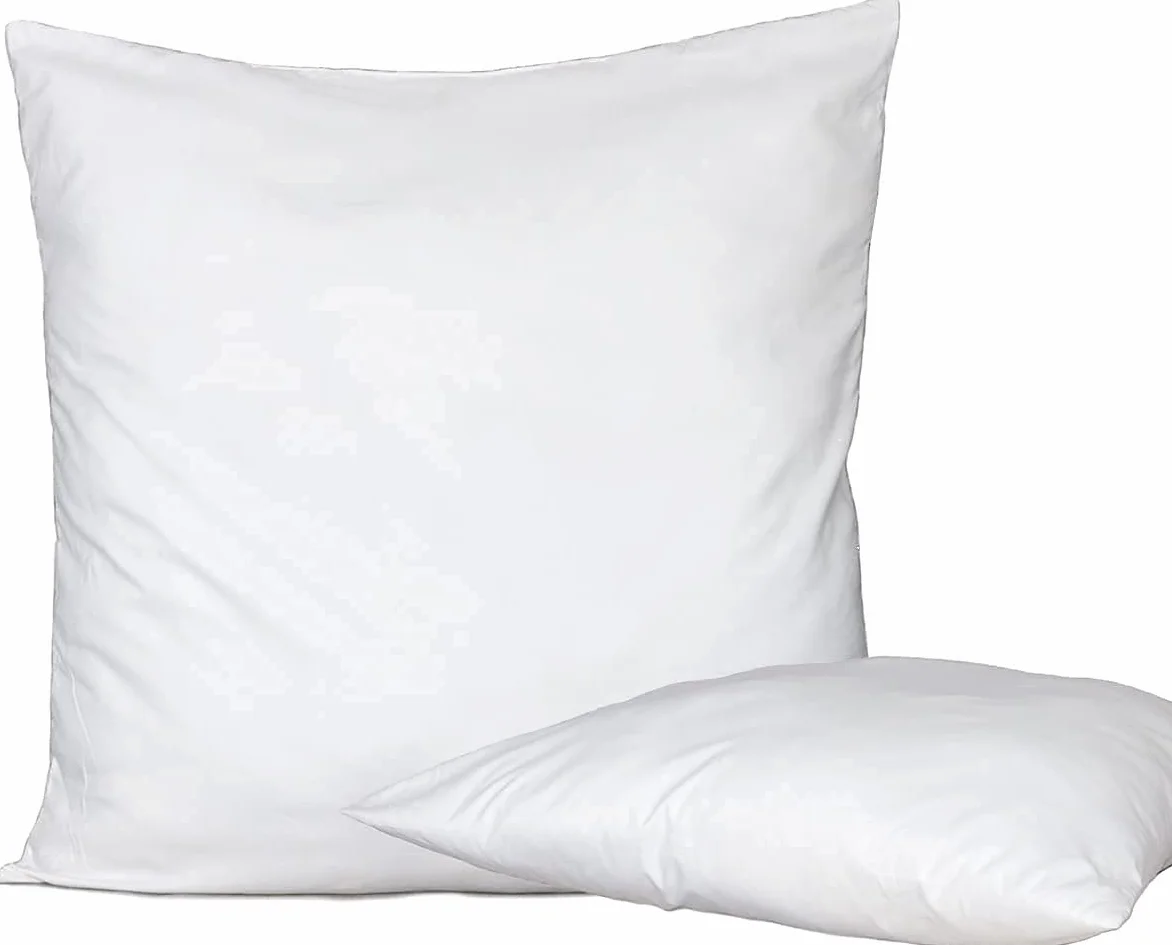 EGIDIOSHOP OFFERTISSIMA!!! Set di 2 Cuscini - 60 x 60 cm Imbottitura per Cuscini-Cuscini Divano - Cuscino Interno (Bianco)
