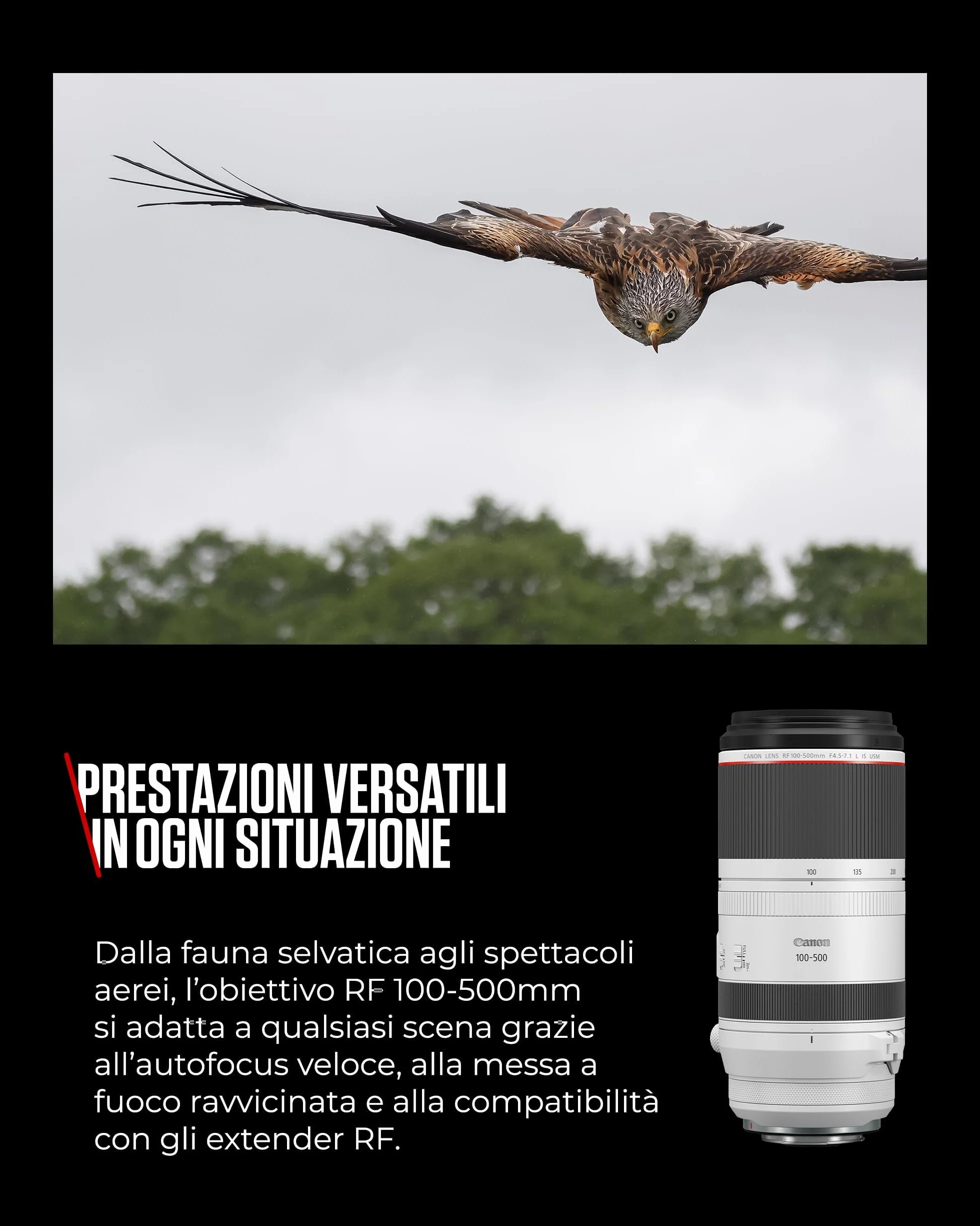 Canon RF 100-500mm F4.5-7.1L IS USM Obiettivo
