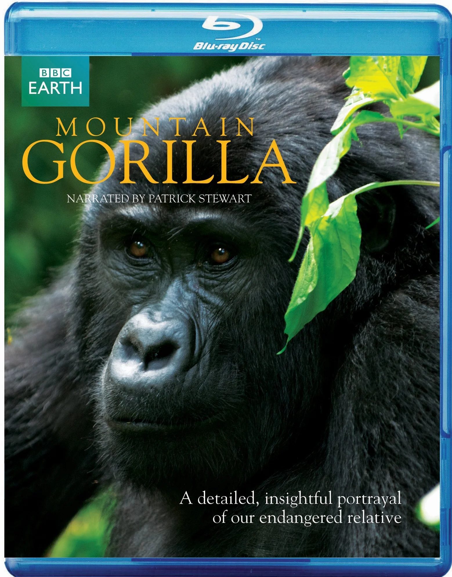 Mountain Gorilla Edizione Regno Unito