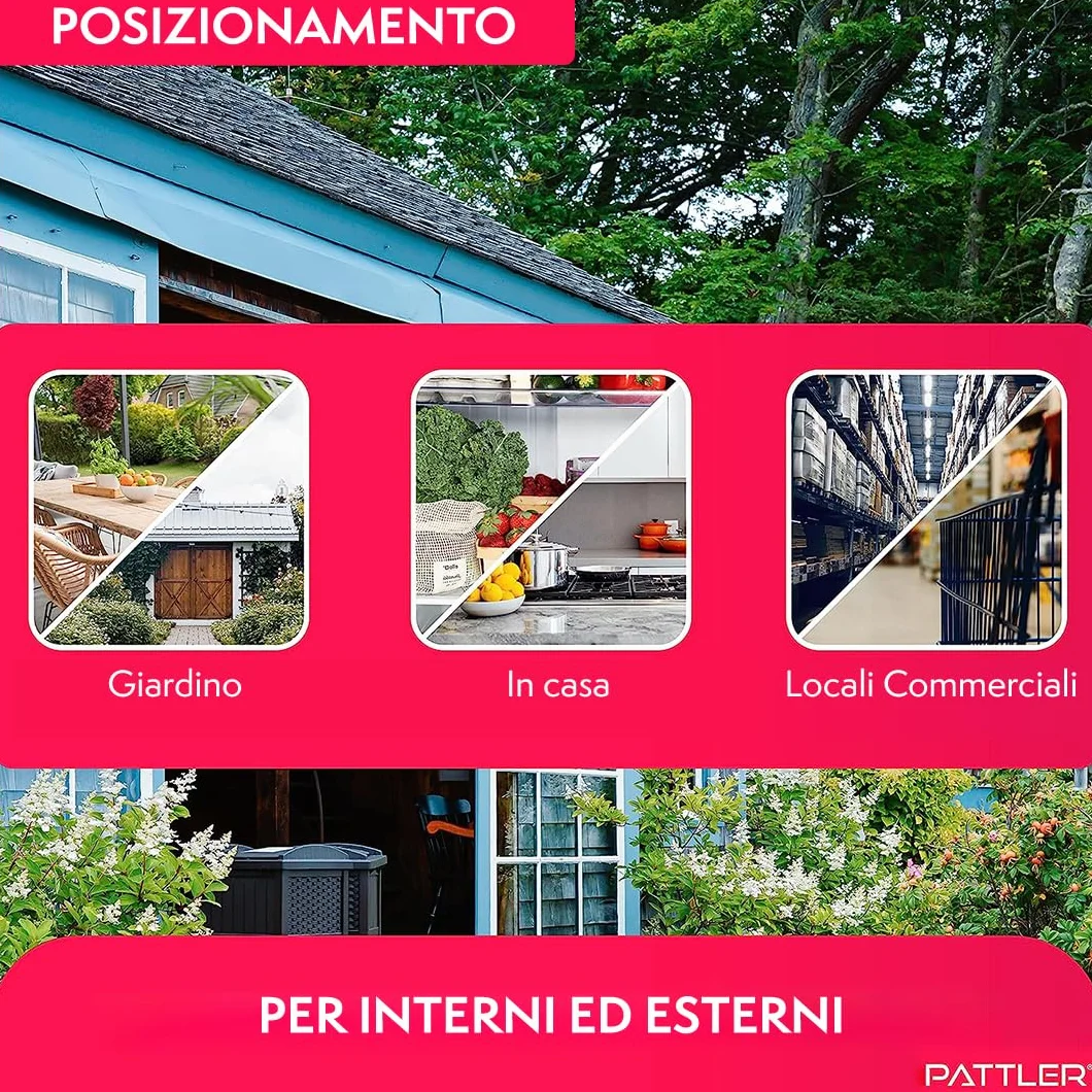 PATTLER® Trappola per Topi Vivi - Trappole per topi da Esterno e Interno - Trappole topi utilizzabili con esche per topi di vario genere - Trappola per Topi Grandi e Piccoli topi - Transparente 1 Pz