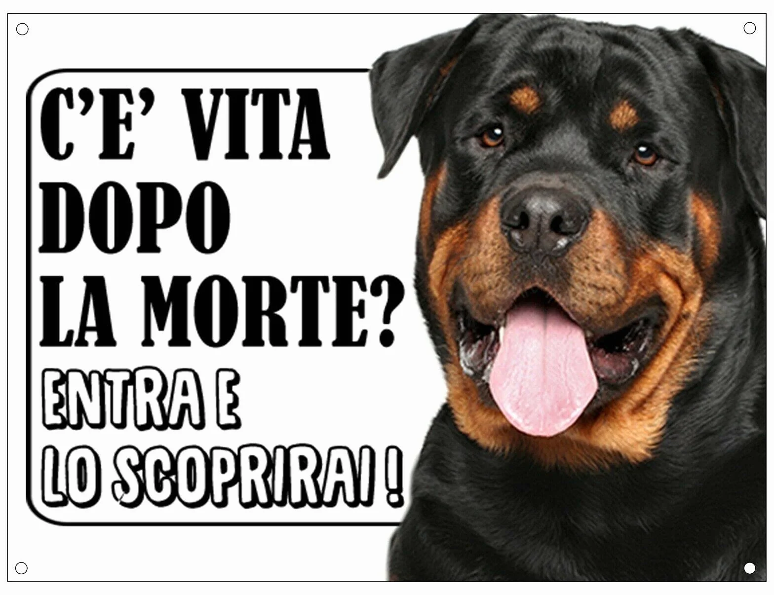 CARTELLO ATTENTI AL CANE - ROTTWEILER c'è vita dopo la morte, entra e lo scoprirai - Con Adesivo in Vinile e Pannello in Forex (Pannello 5mm Stampato)