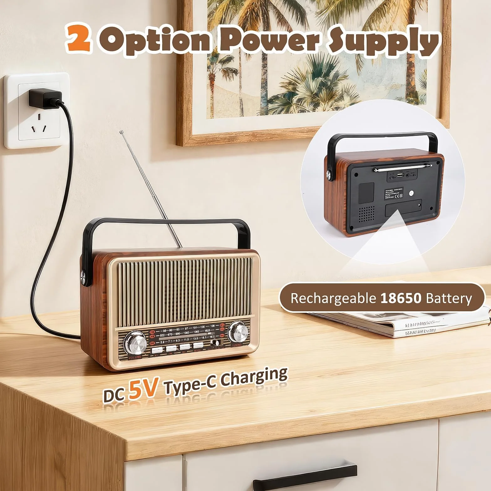 Radio Vintage Bluetooth Altoparlante Portatile con Lettore USB/TF/AUX Batteria Ricaricabile