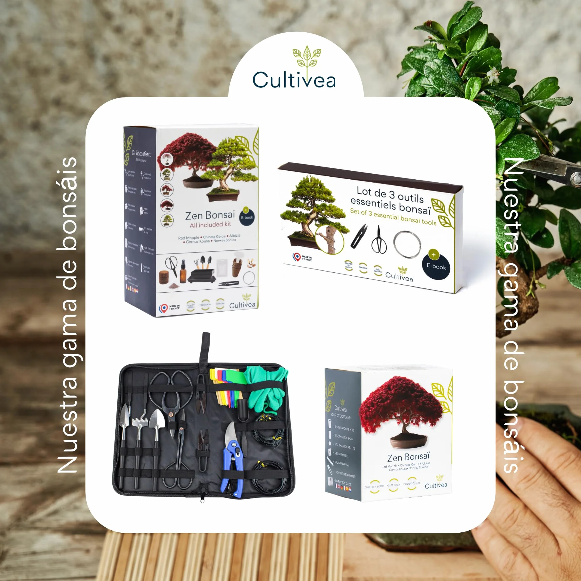 CULTIVEA® Filo per bonsai, set di 6 rotoli di filo di alluminio - 1,0mm/1,5mm/2,0mm/2,5mm/3,0mm/4,0mm - Legatura anticorrosione per bonsai, attrezzi per giardinaggio indoor - bonsai, piante, alberi