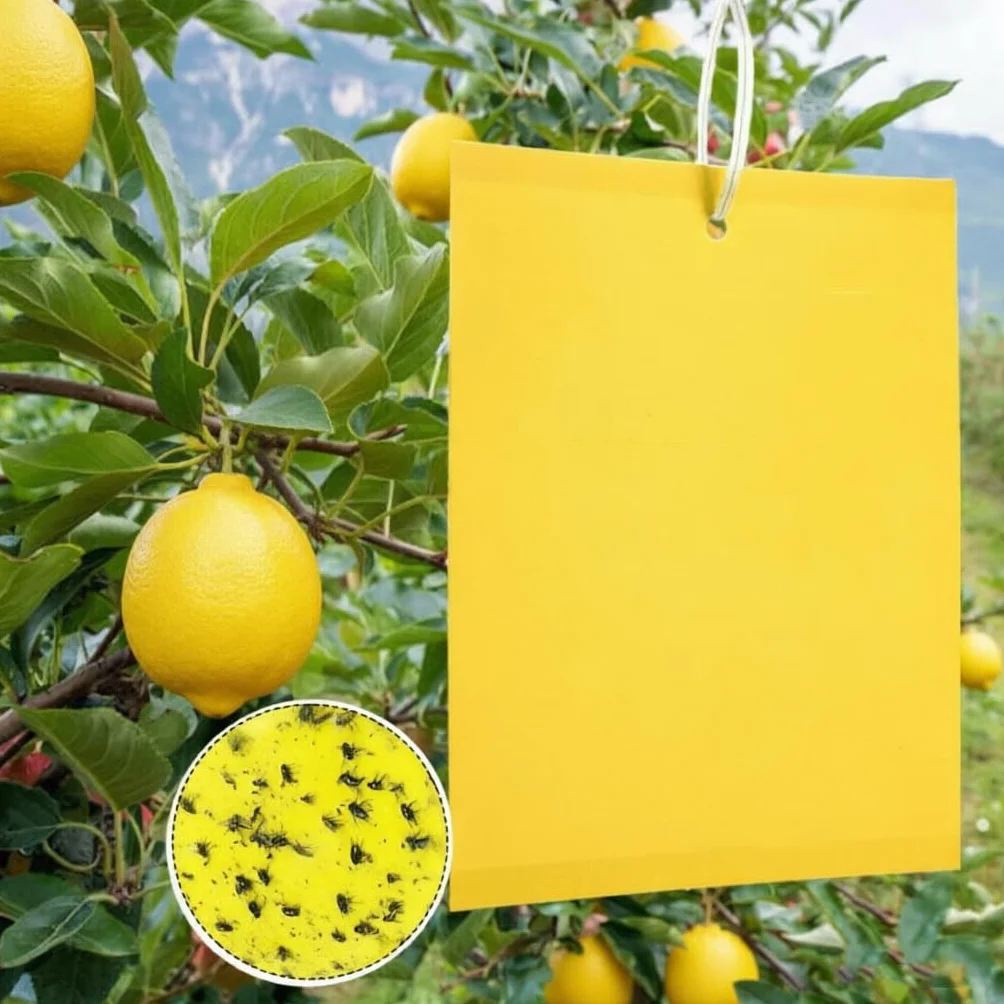 60 Pezzi Trappole Acchiappa Ciliegio Mosche, Mosca Dell'olivo Trappole Appiccicose Gialle Bilaterali per Insetti Volanti per Olivo, Afidi, MosceriniFungini, e Mosche Bianche，Trappola Adesiva per Mosch