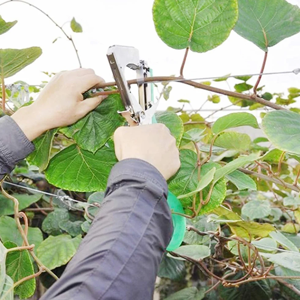 Gelrova Legatrice per Piante Pinza Tying Macchina Nastro a Mano per Pomodori UVA Fiori Verdura Vigneto
