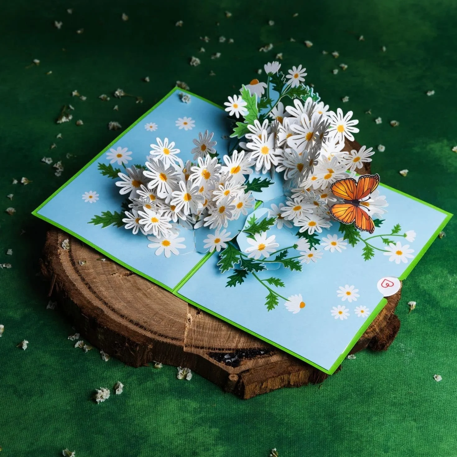 papercrush® Biglietto pop up 3D margherite - Biglietto auguri compleanno donna, battesimo, comunione