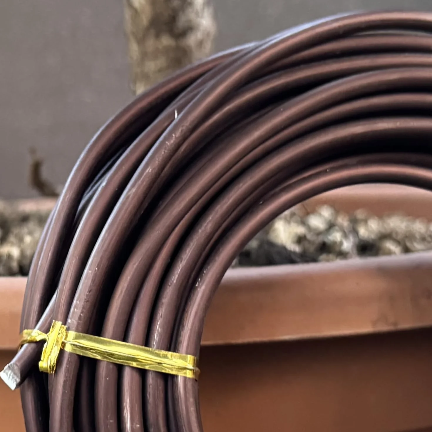 ULISSE® BonsaiPro Aluminium Optima - Filo per Bonsai Brunito - Modellabile e Resistente - Vari Diametri - 500g - per Modellare e Correggere la Forma dei Rami - Attrezzi Bonsai Professionali (5,5 mm)