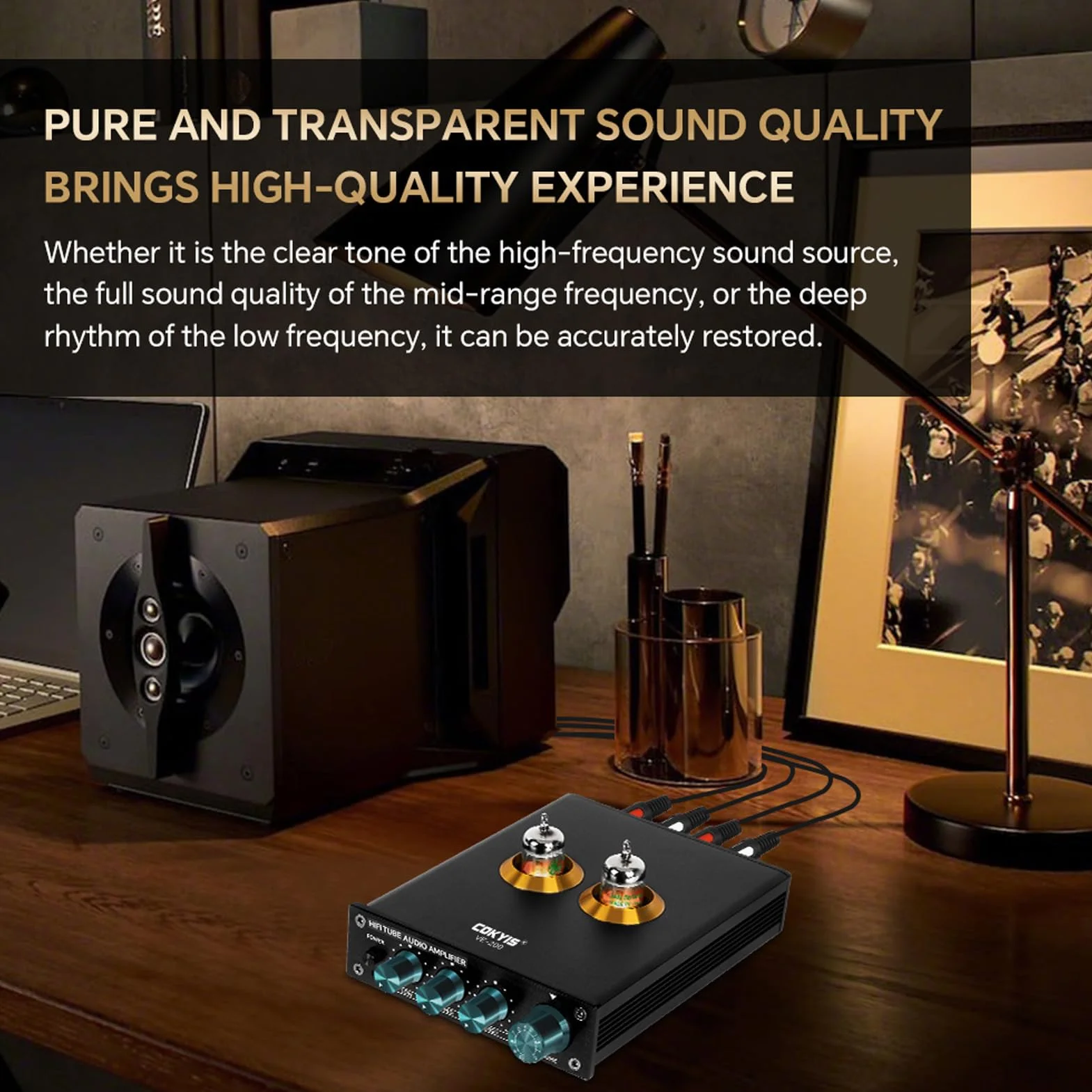 Equalizzatore Audio a 3 Bande Preamplificatore a Valvole HiFi compatibile JAN5654 6J1 6J4 6J5 6AK5 per Lettori CD DVD MP3