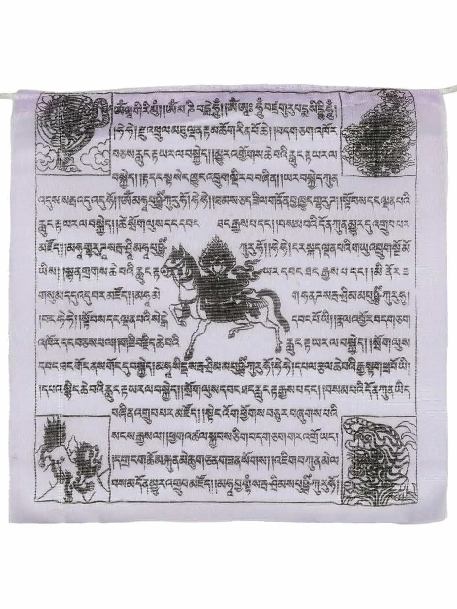 Bandiere di preghiera buddista tibetana 25 bandiere 5 m