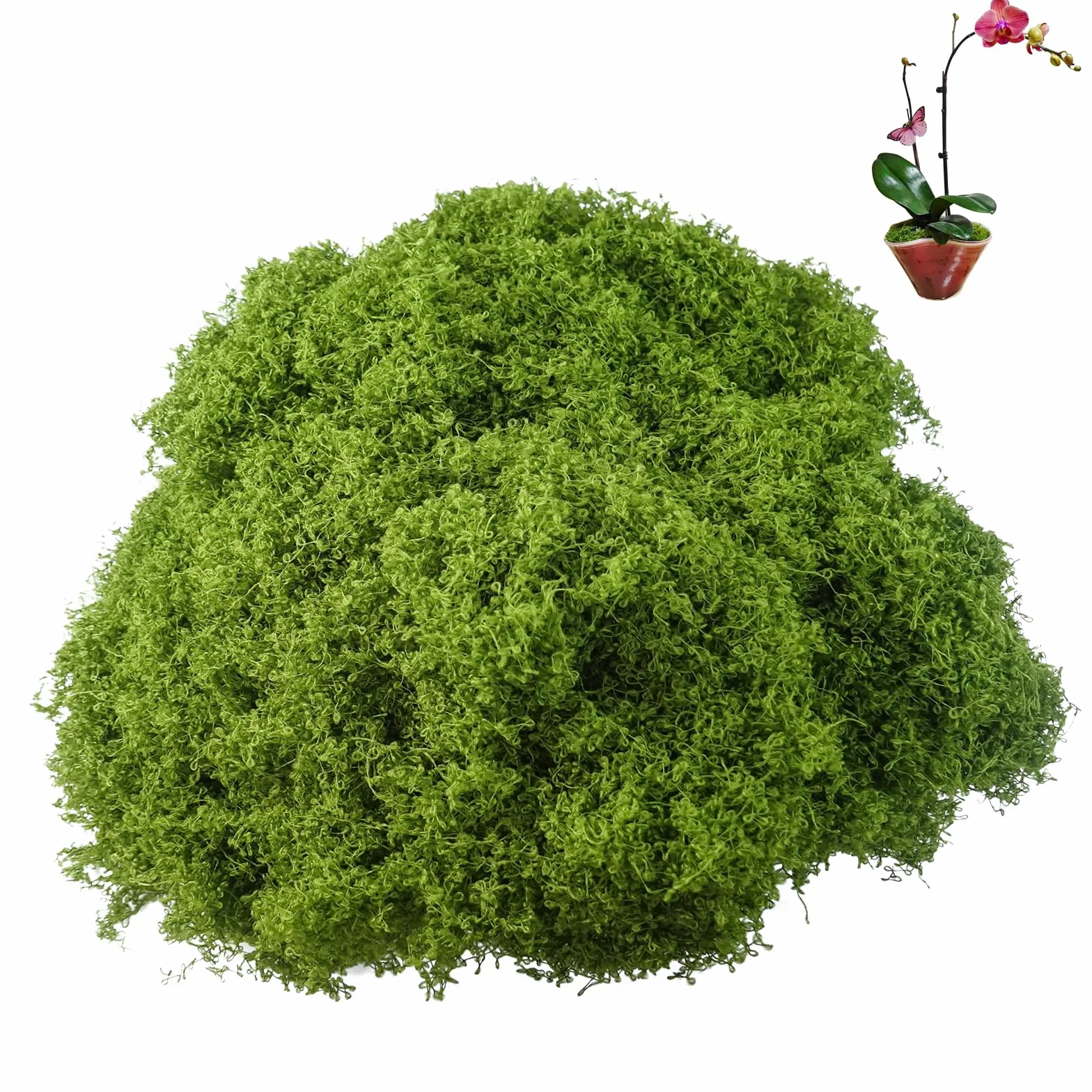 200g Muschio Artificiale,Muschio Riutilizzabili Verde Scuro,Nylon Muschios Vegetale Finto per Decorazioni Parete Casa Fai da Te Modellismo Artigianato