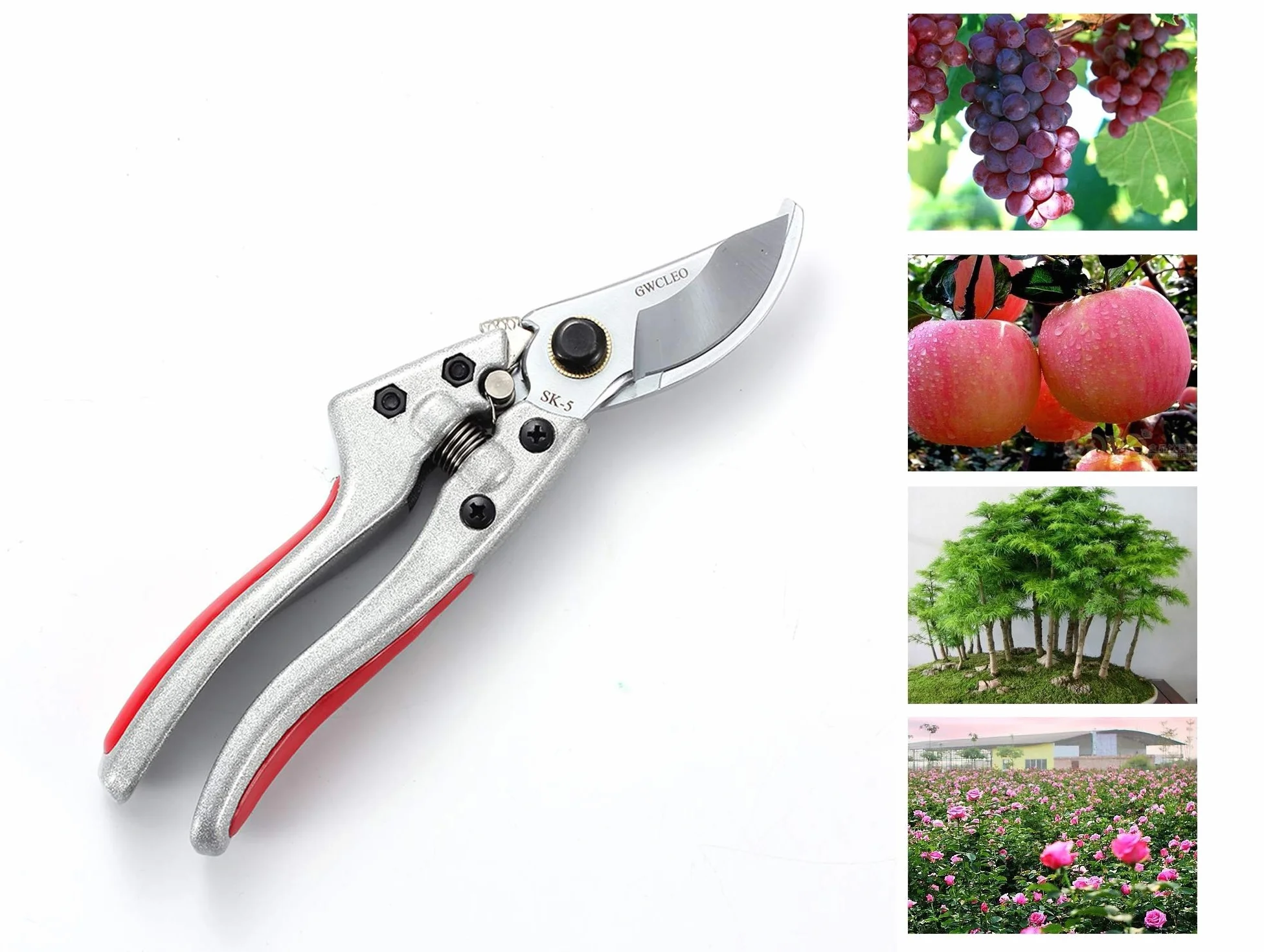 Forbici da Giardinaggio Cesoie da Potatura Lama Acciaio Inossidabile Troncarami per Piante Bonsai Fiori Siepi