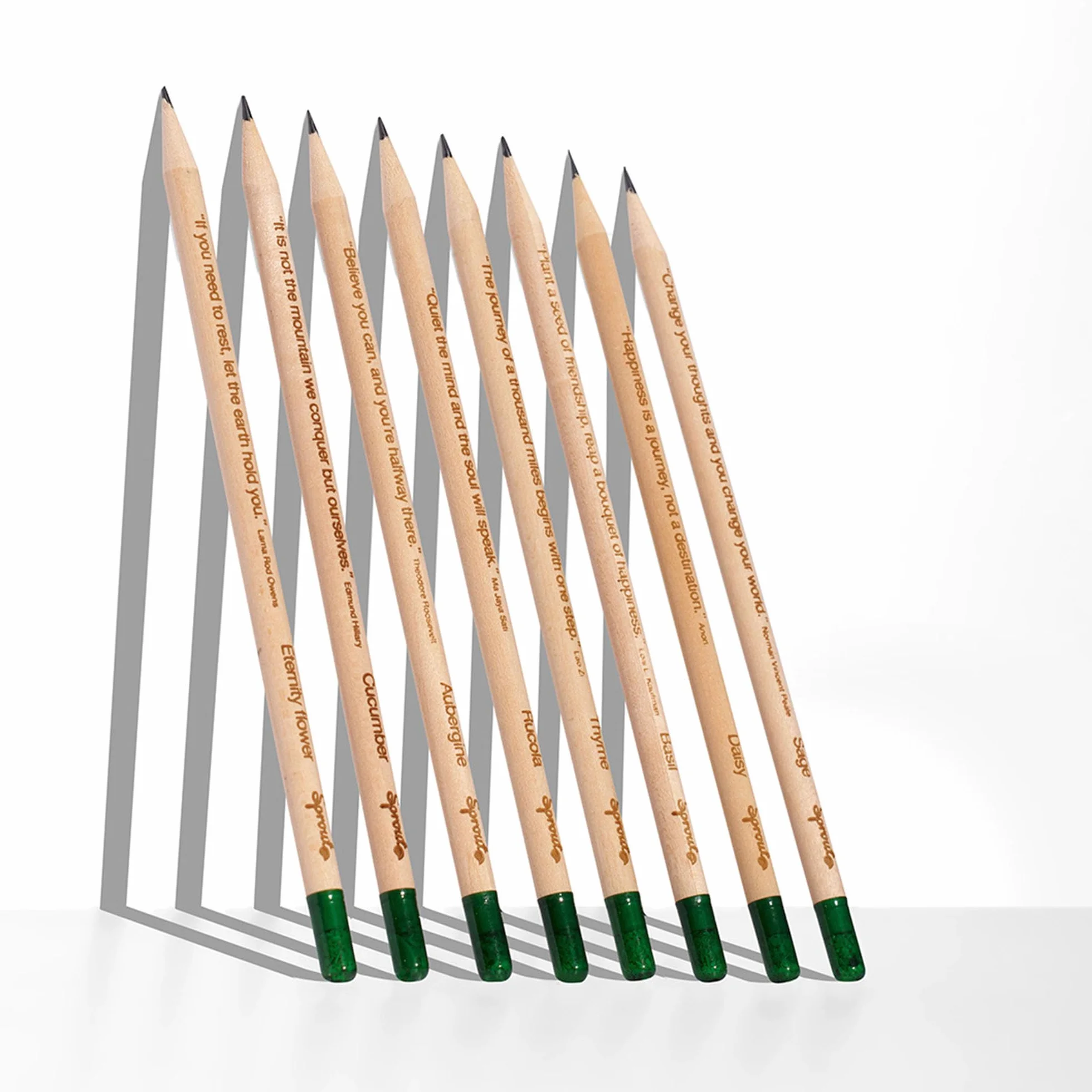 Sprout World Matita Set di 8 Matite Piantabili con Semi di Fiori, Erbe e Verdure Legno Ecosostenibile Set Regalo Ecologico