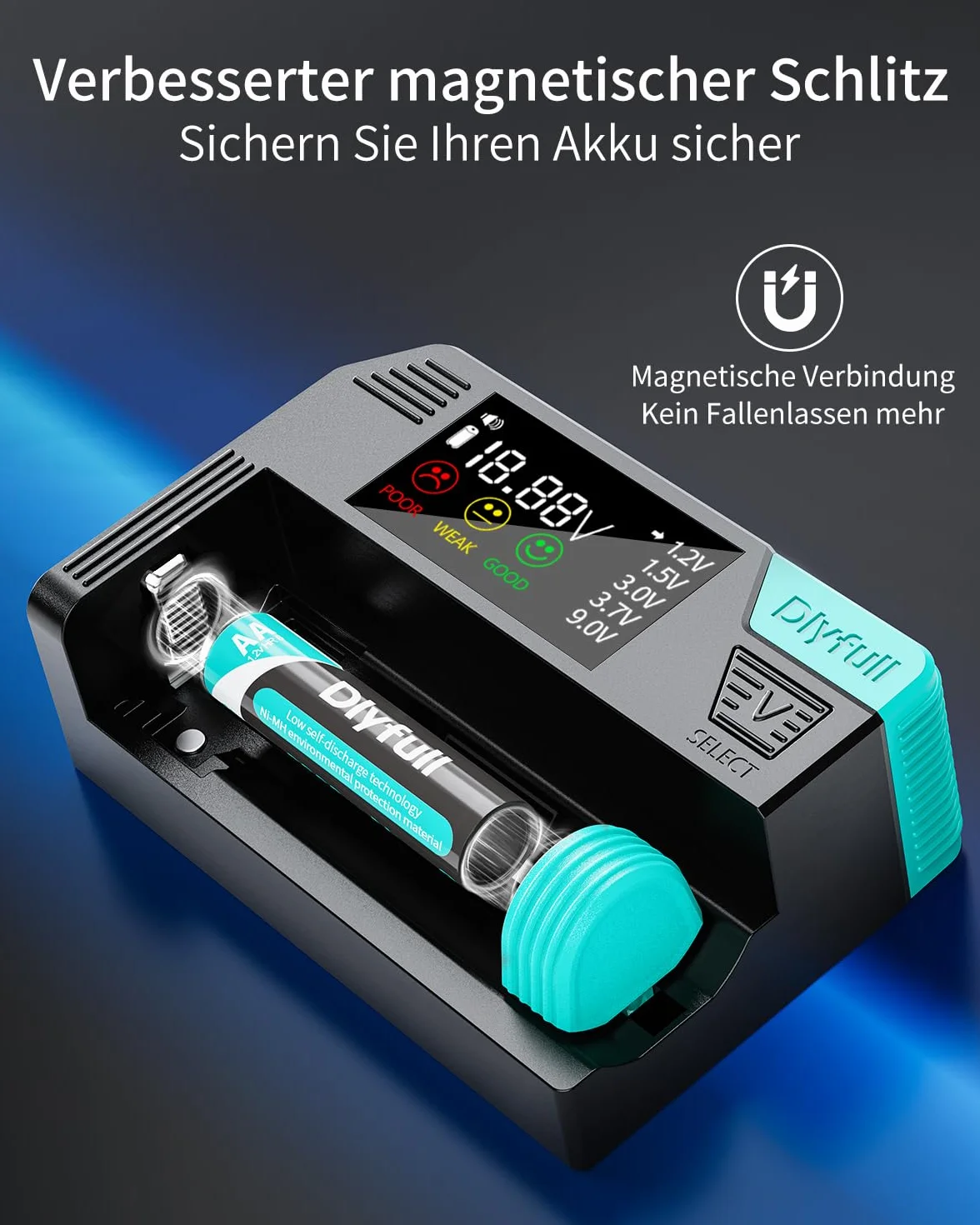 Dlyfull Tester professionale per batterie con display LCD per AA AAA C D 9V batterie a bottone 1,2V 1,5V 3V 3,7V