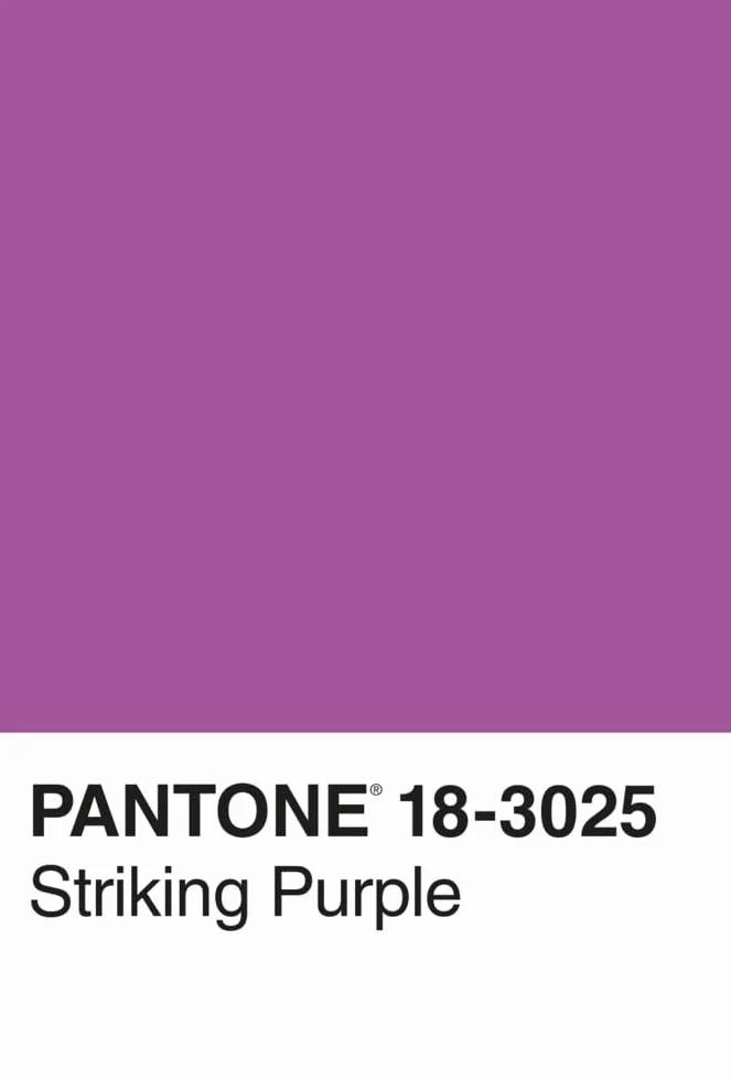 Pantone 100 Postkarten