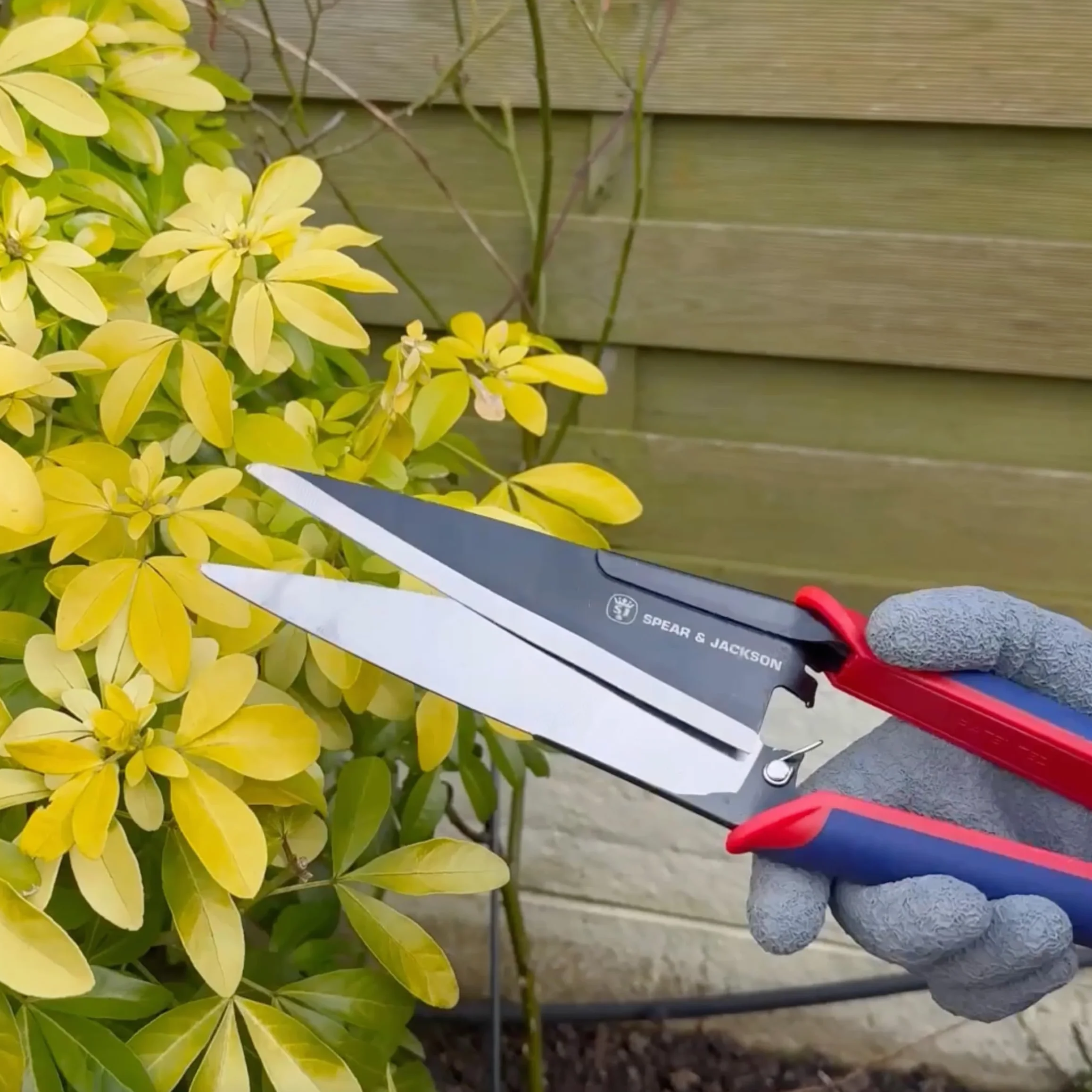 Spear & Jackson 4855TS Cesoie Arte Topiaria Razorsharp, 33.5x7.5x4 cm