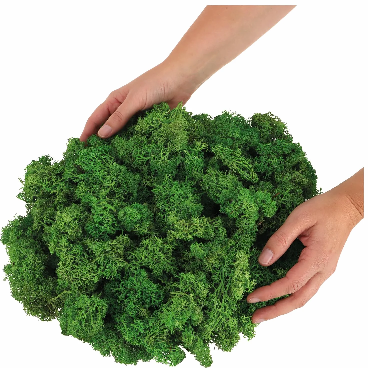 com-four® Muschio Decorativo da 250 g - Muschio Artigianale Fai-da-Te - Vero Muschio Decorativo per Lavorazione e Decorazione - Muschio Naturale per Progetti Artigianali (Muschio Decorativo - 250 g)