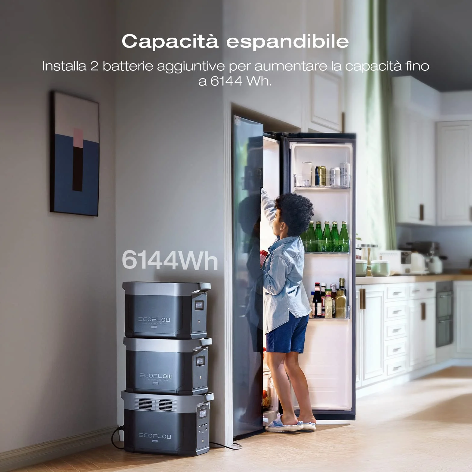EF ECOFLOW DELTA 2 Max Espandibile 2-6kWh Centrale elettrica portatile, Batteria LFP 3000 cicli, CA+Solare 80% di carica in 1 ora, Fino a 3000W di uscita, Generatore solare silenzioso