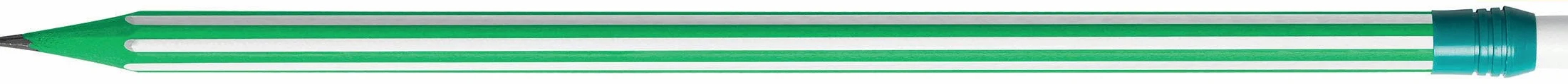 BIC Evolution Stripes 12 matite HB media senza legno infrangibile