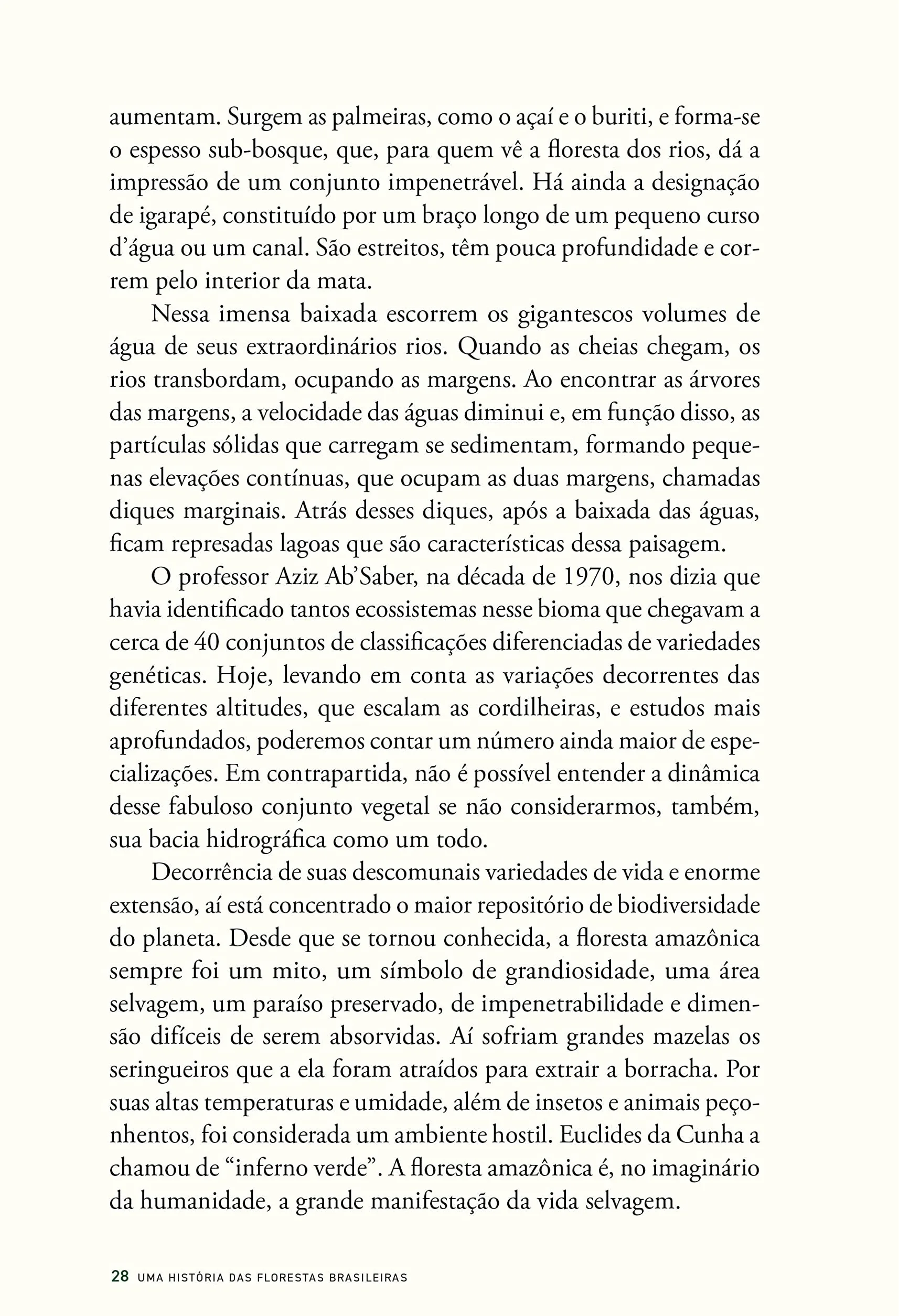 História das florestas brasileiras