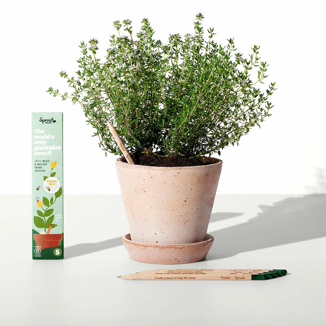 Sprout World Matita Happy Bee Set di 5 Matite Piantabili con Semi Regalo Ecologico