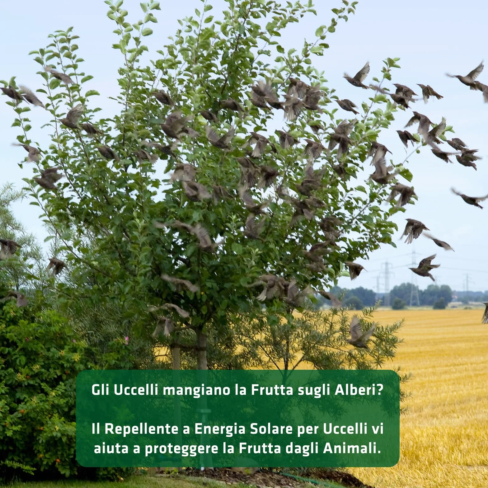GARDIGO® Dissuasore per Piccioni | Ultrasuoni per Piccioni | Spaventa Uccelli con Pannello Solare | Deterrente Uccelli con Luce Flash a LED | 23-50 kHz | Copertura 110°/7 m | Antipiccioni
