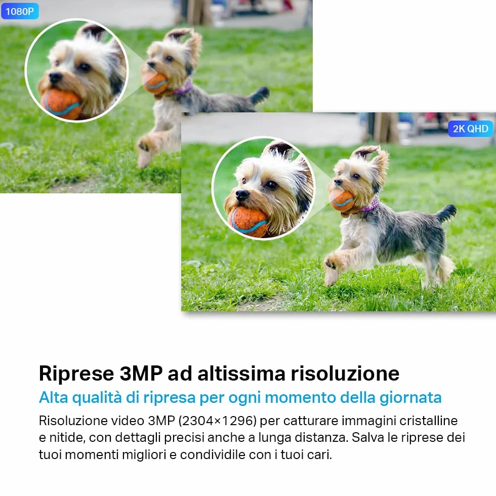 Tapo C310 Telecamera Wi-Fi Esterno FHD 1296P IP66 Visione Notturna 30m