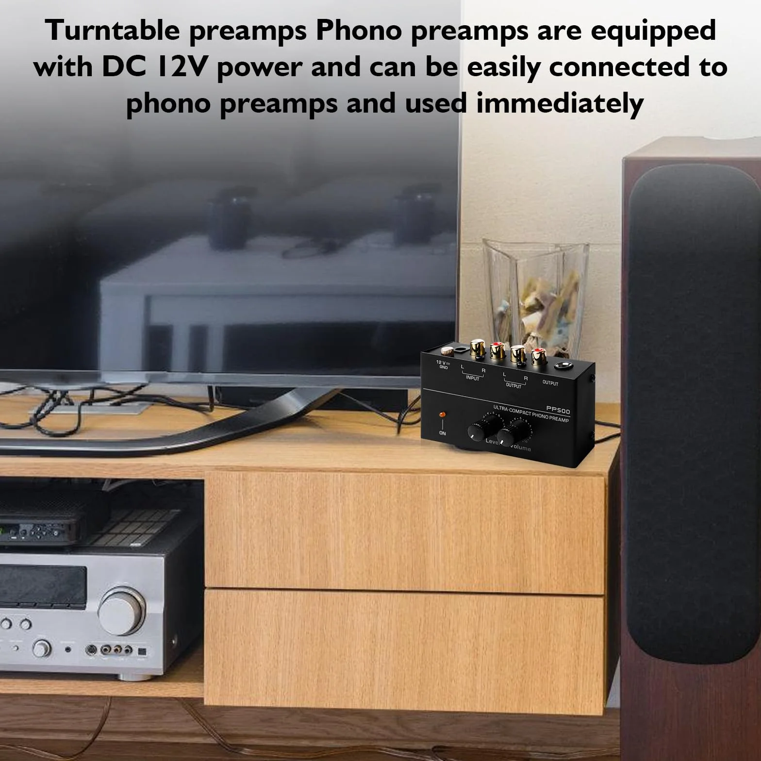 Giradischi Phono Preamplificatore PP500 Preamplificatore Audio Stereo con Ingresso e Uscita RCA