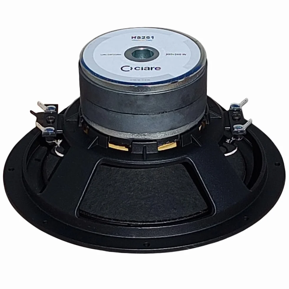 HS251 Subwoofer 25 cm 10" 250 mm 200+200 Watt Max Doppia Bobina 8+8 Ohm 89 dB Gomma