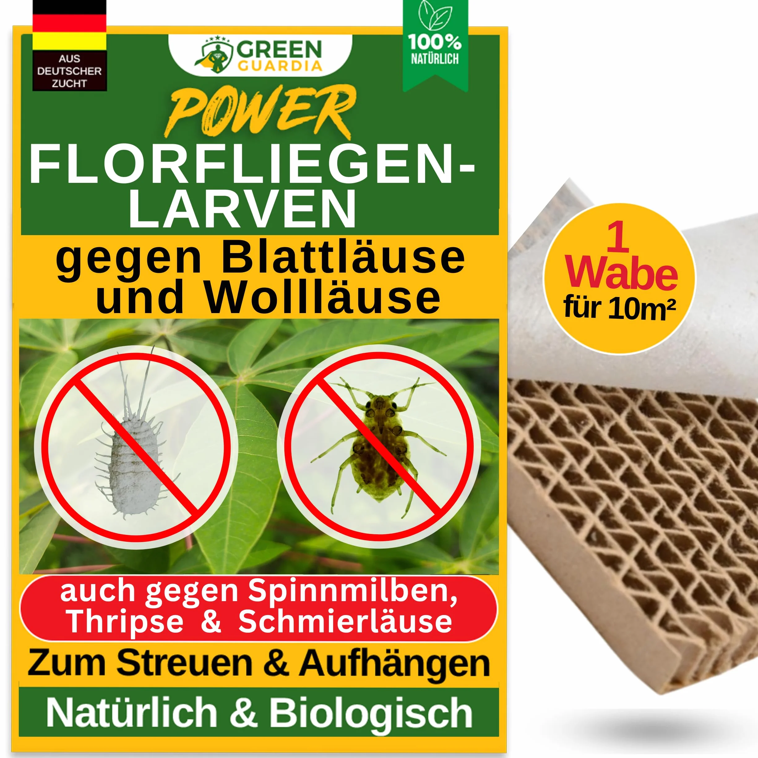 GREEN GUARDIA Potere larve di moscerini contro afidi e pidocchi - 1 nido d'ape per 10 m² - Agente biologico per efficace lotta contro afidi/pidocchi di lana per piante d'appartamento e ornamentali