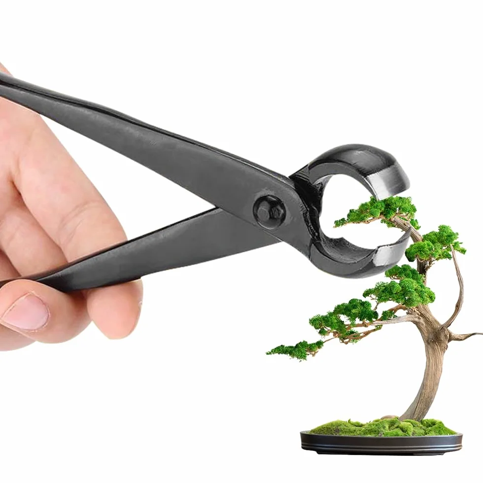 Taglierina Concava Bonsai, Attrezzi Bonsai Professionale, 210mm Concavo Cutter in Lega di Acciaio al Manganese, per Rimuovere Piccoli Rami, Sporgenze e Nodi