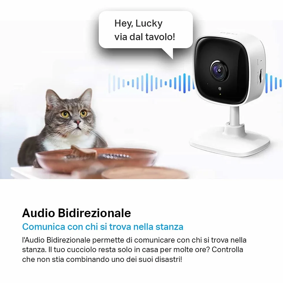 Tapo C100 Telecamera Wi-Fi Interno FHD Visione Notturna Audio Bidirezionale Movimento MicroSD 512GB
