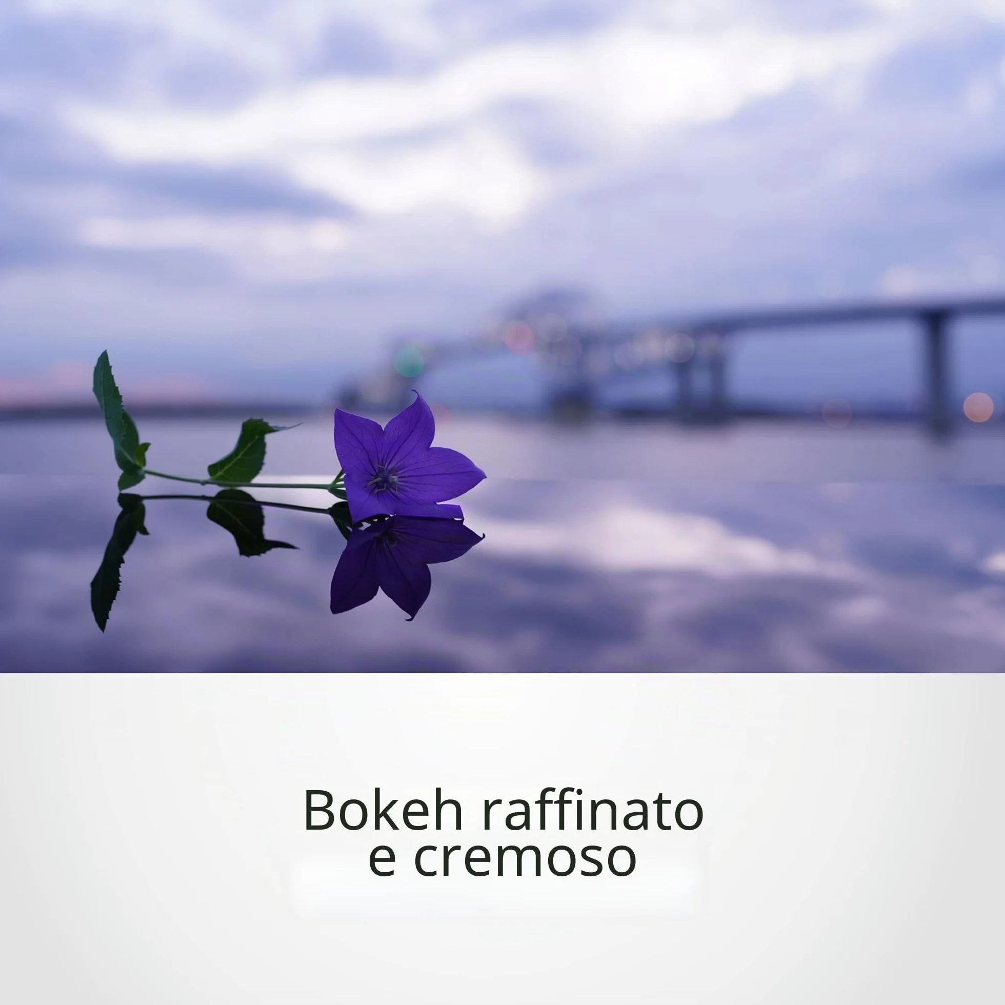 Sony SEL35F14GM Obiettivo 35 mm F1.4 G Master E-Mount full frame APS-C