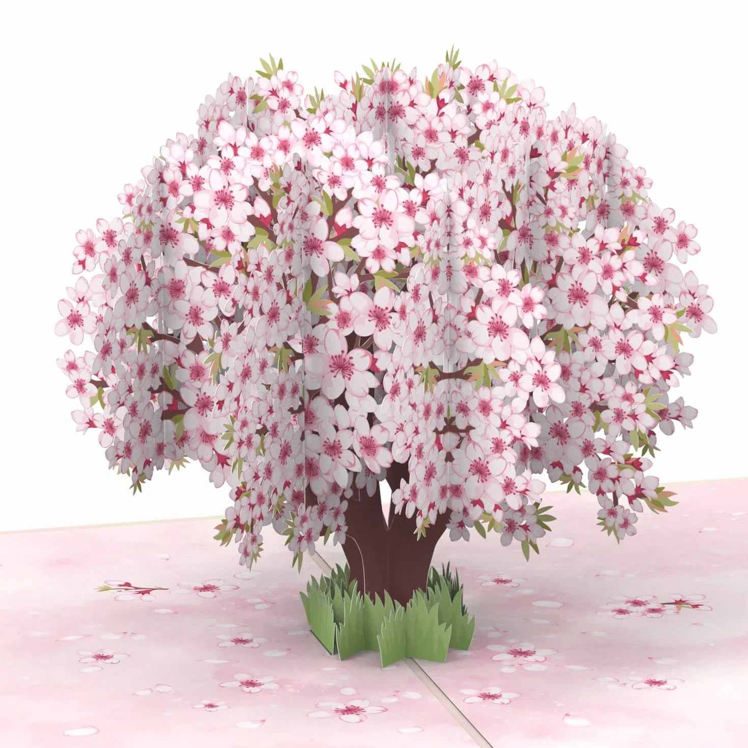 Papercrush Biglietto Pop-Up Sakura 3D Cartolina Auguri Fiori Ciliegio Regalo Compleanno Donna