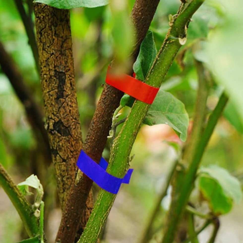 Gelrova Legatrice per Piante Pinza Tying Macchina Nastro a Mano per Pomodori UVA Fiori Verdura Vigneto
